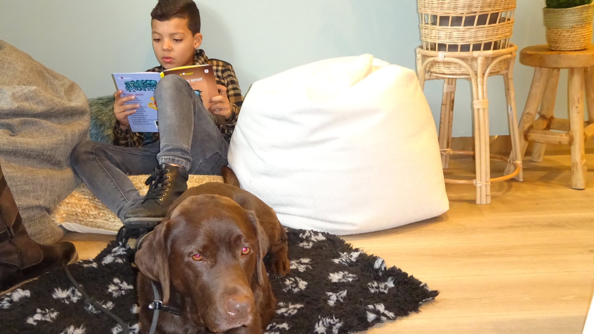Chayro Martie (8) leest een boek voor aan hond Wende.