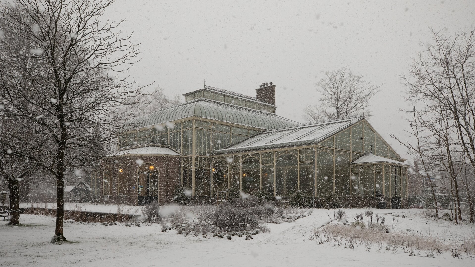 De Wintertuin in het Cantonspark vorige week in de sneeuw. 