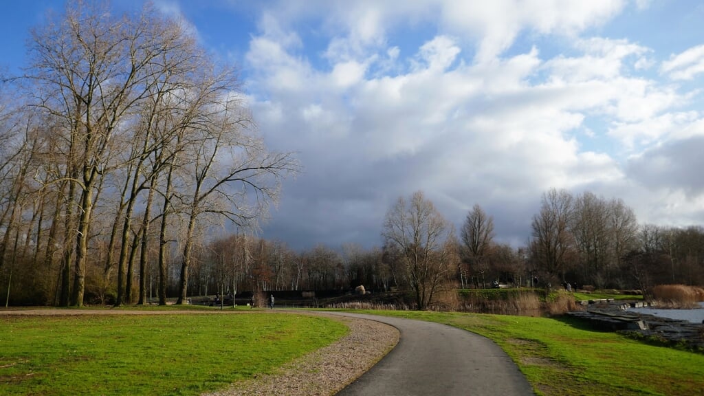 Donkere wolken boven het Haarlemmermeerse Bos.