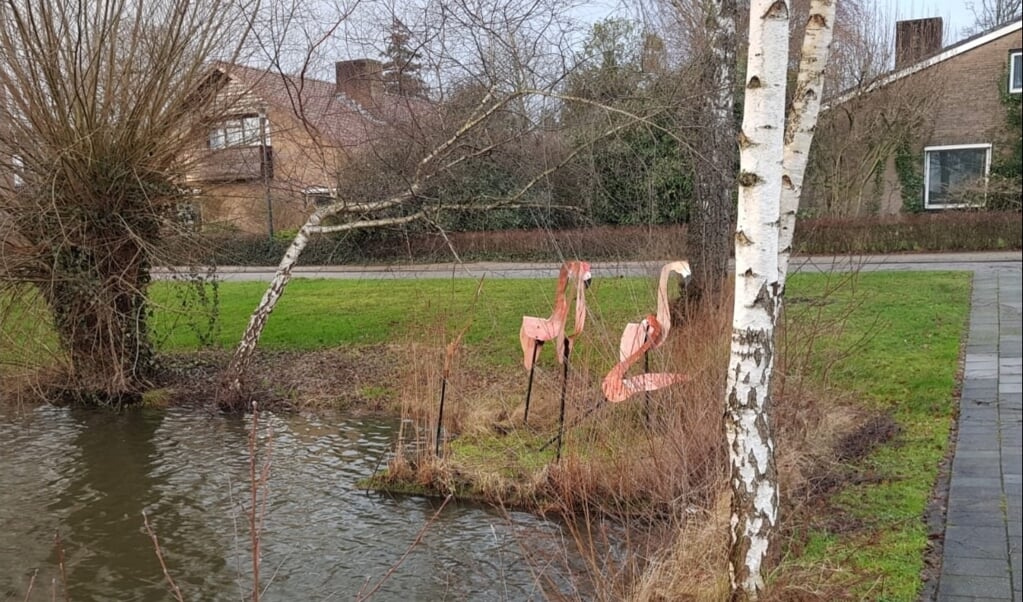 Het kunstwerk Flamingo's in de vijver aan de Molenweg is 'aan lager wal' geraakt.