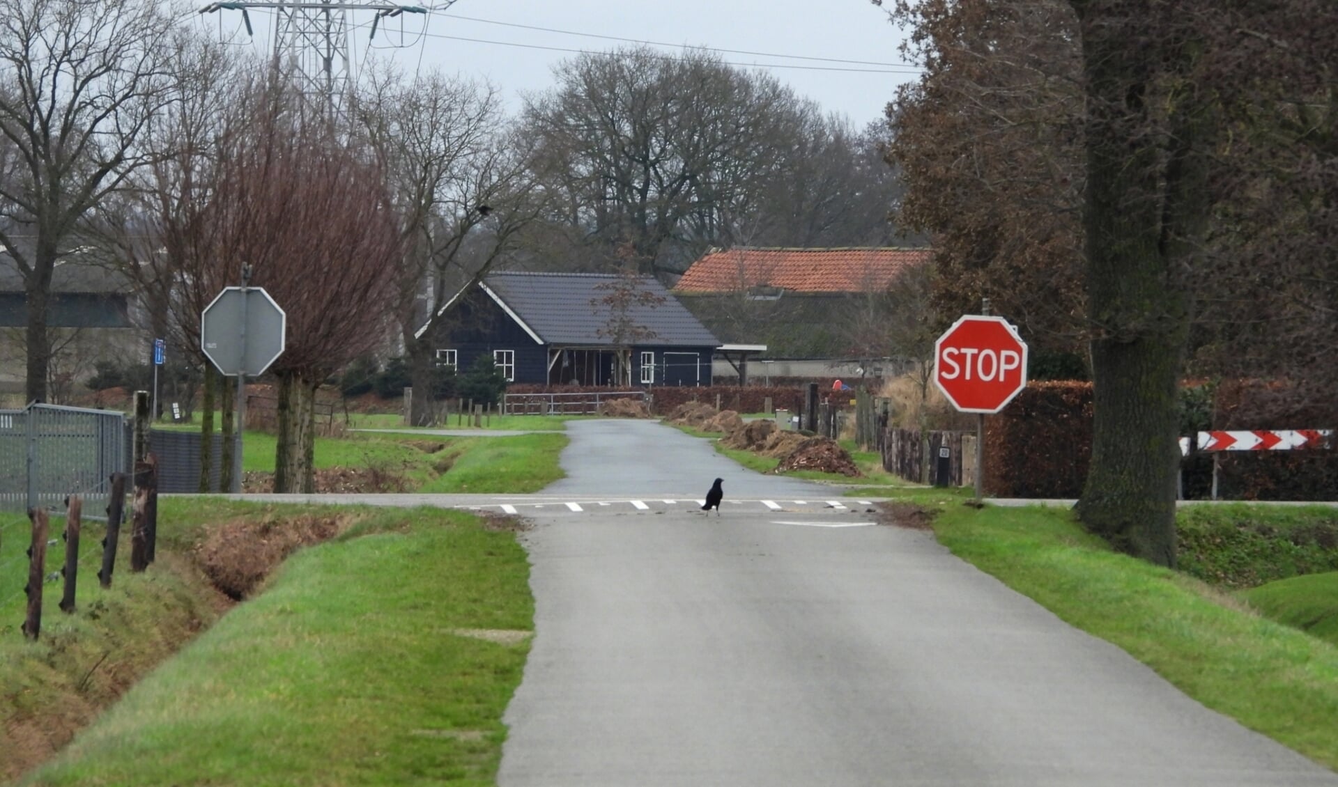 Zwarte kraai bewaakt kruispunt Grote Hegweg en Kapweg.