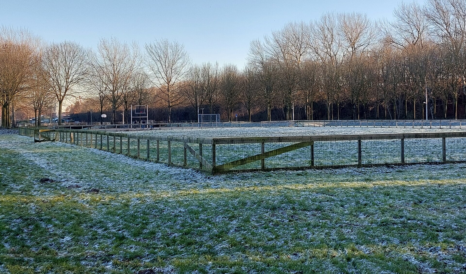 Het grasveld aan de Jan Benninghweg moet een bovenbuurtse speelplek worden.