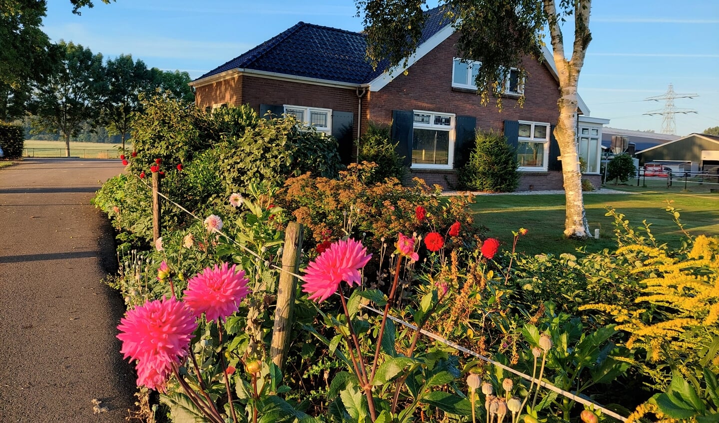 Nieuwe B&B De Mast, Aan Marsdijk Bij Fort Vechten - Bunniks Nieuws ...