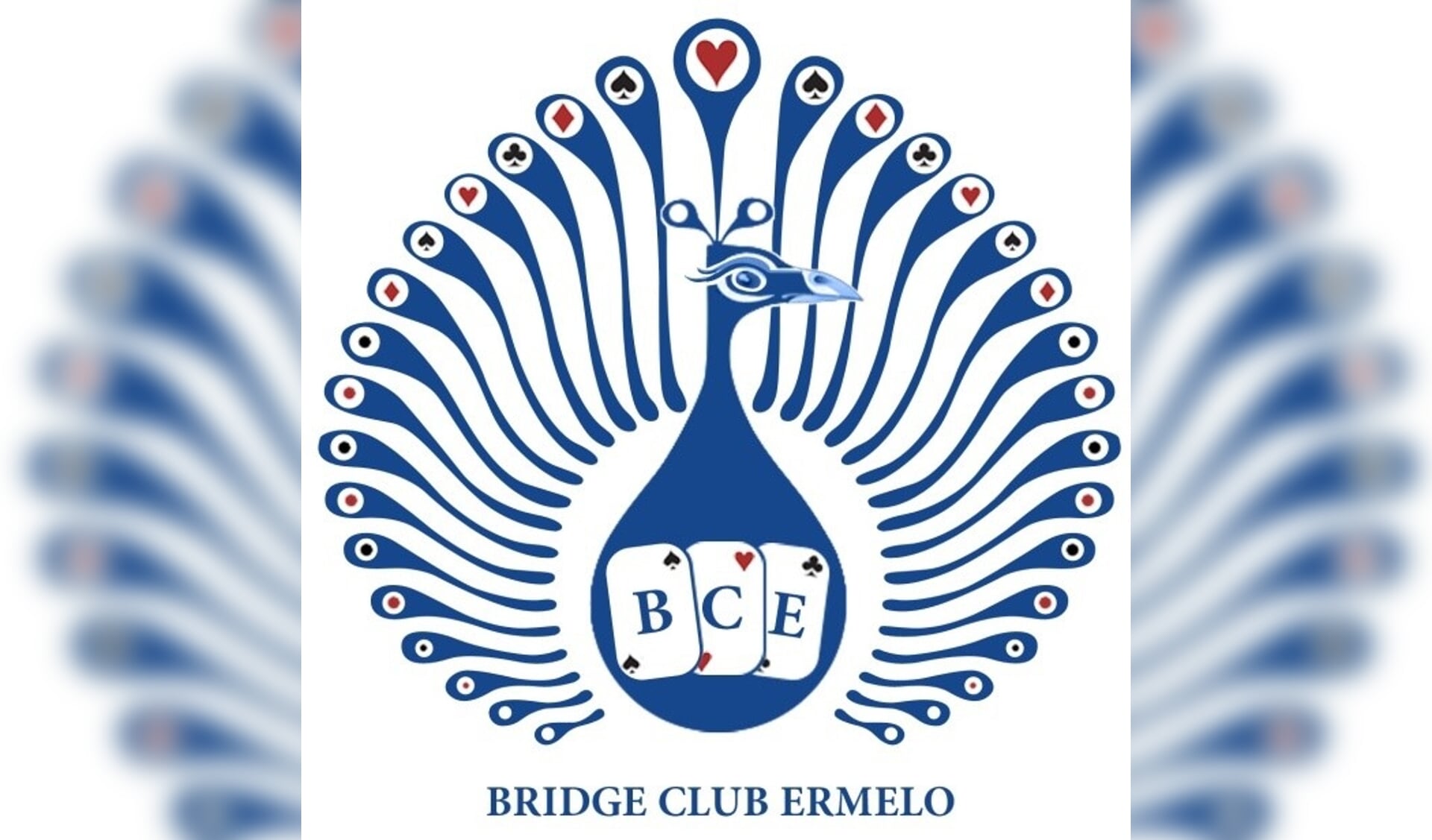 Bridgecursus BC Ermelo