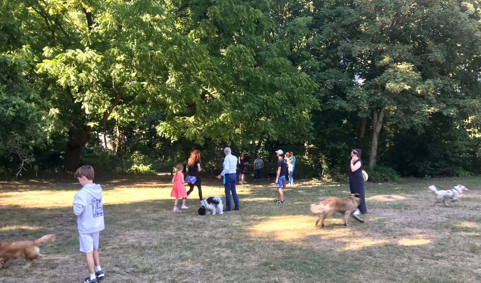 Honden en hun baasjes op het speelveld in het Pestersbos. Ze willen dat deze plek losloopgebied blijft.