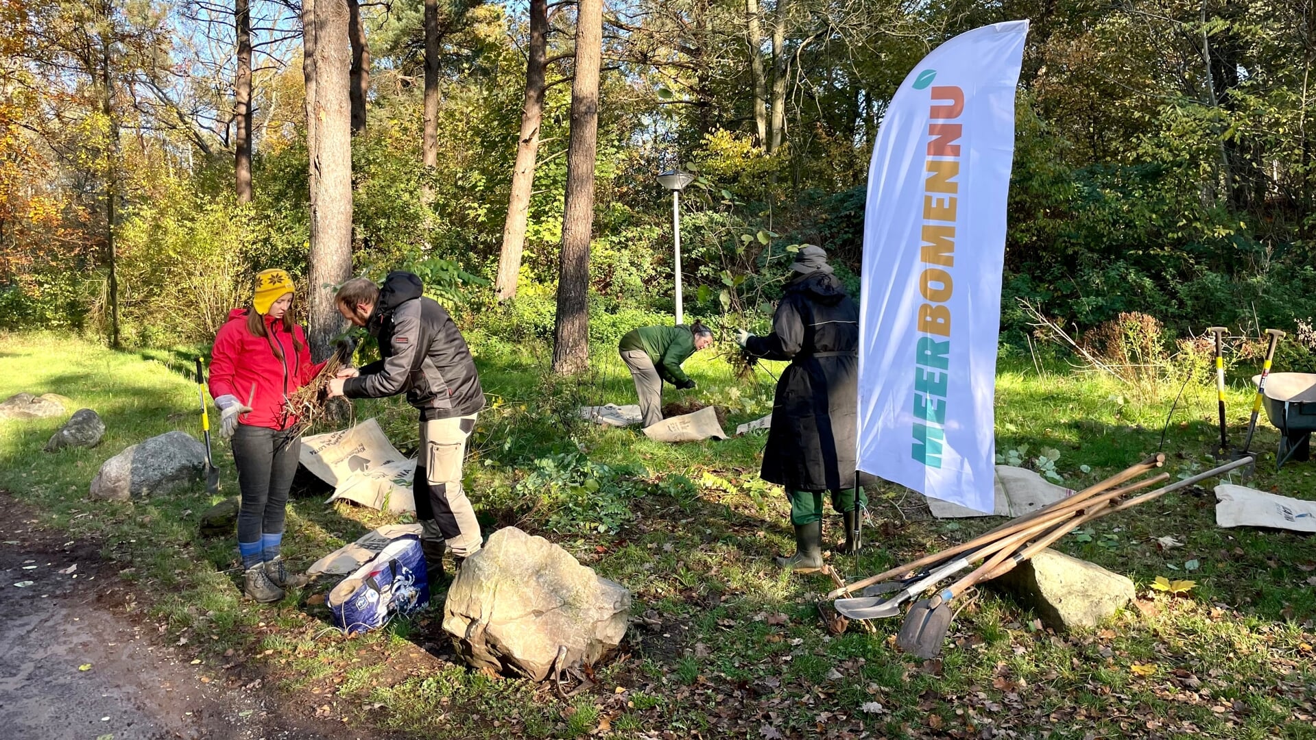 Oogsten bij Landal Landgoed 't Loo. Foto: MeerBomenNu