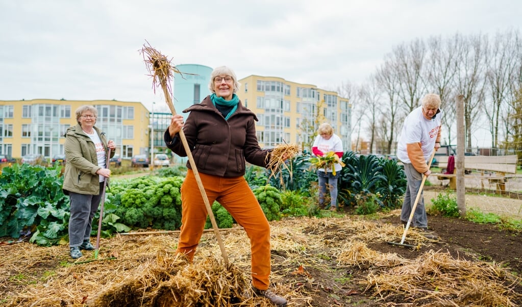 NL Doet. Van Tuin Tot Bord, Wijkcentrum De Schakel, Oranje Fonds. Foto Marco De Swart