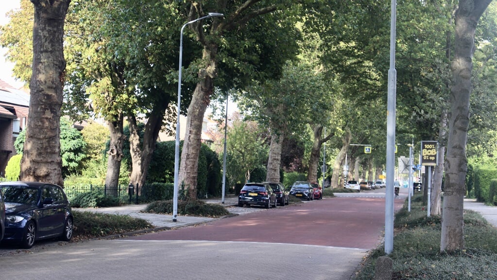Bomen maken van de Sloterweg een echte laan.