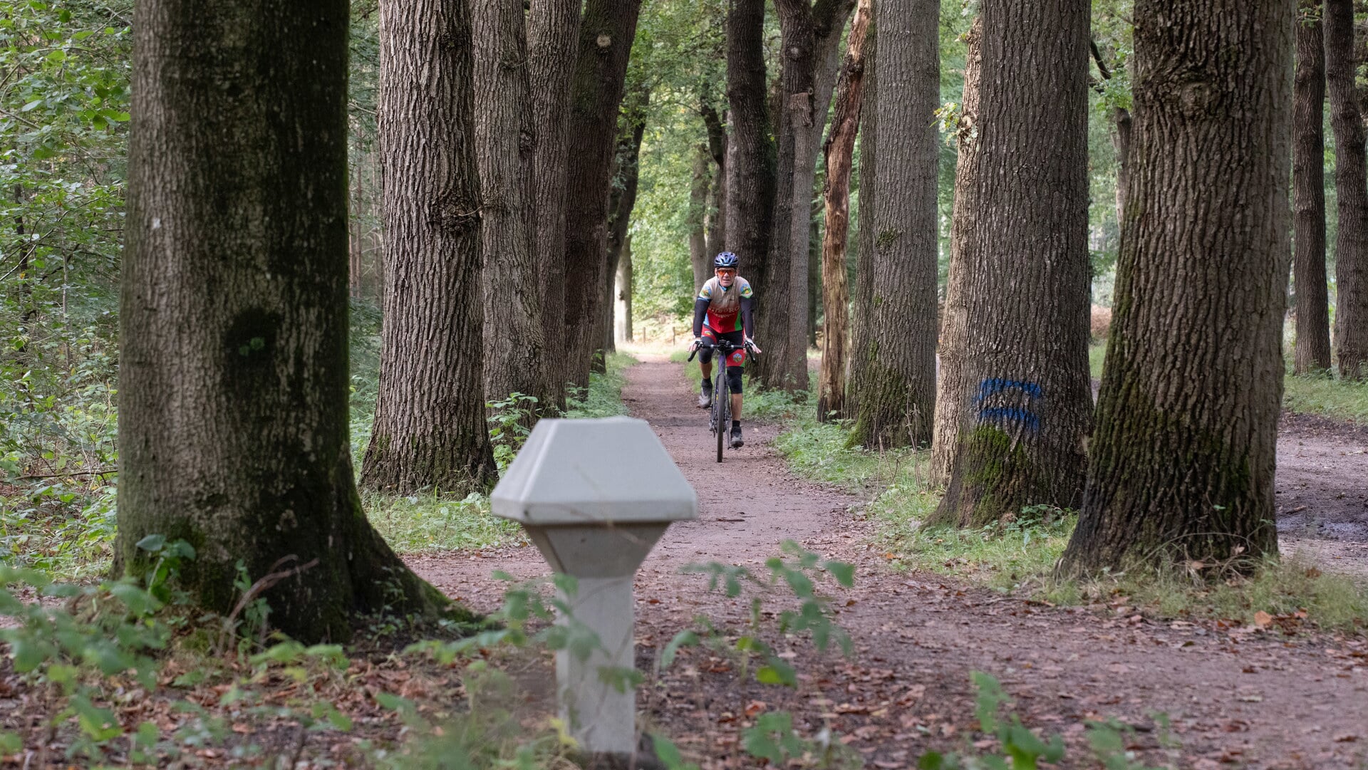 Beeld bij artikel: Gemeente Baarn gaat toch niet handhaven op Pijnenburg; ‘Dit besluit maakt me moedeloos’