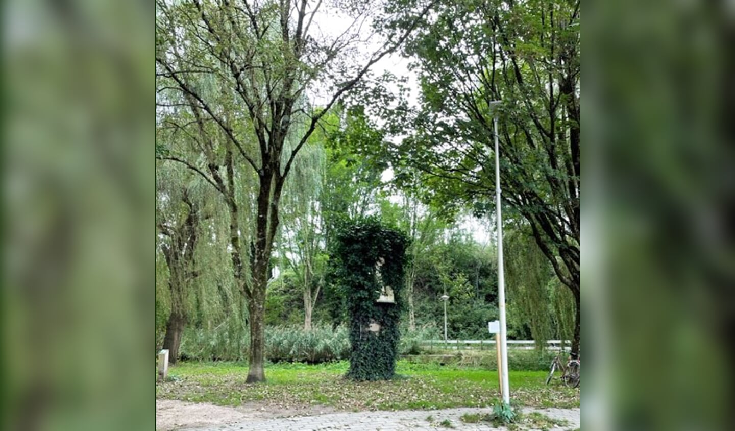 Voor de snoei op 6 oktober 2023.