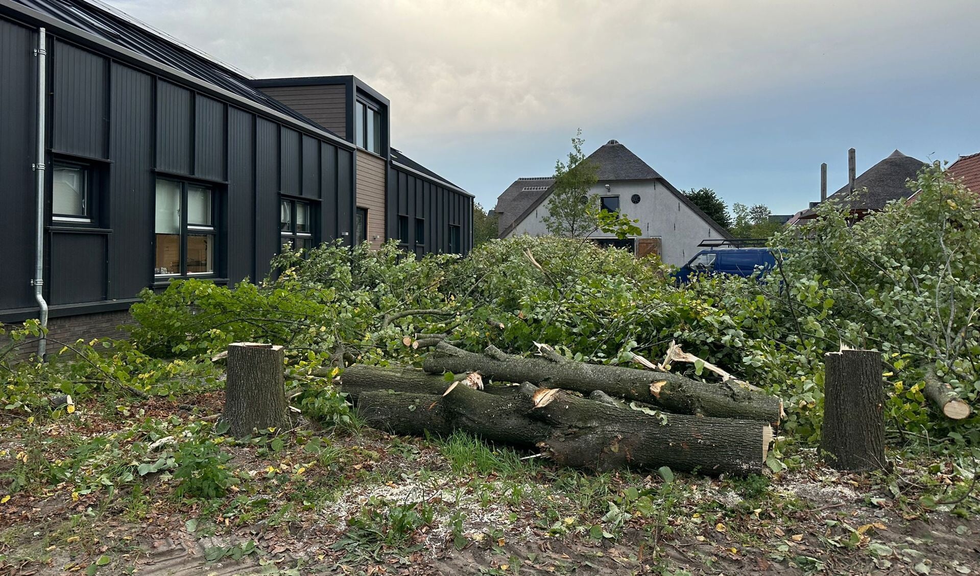 De gekapte bomen pal voor het kinderdagverblijf en boerderij Het Burgje