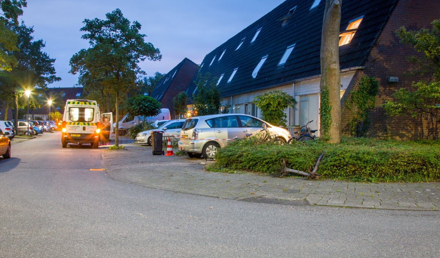 Afbeelding