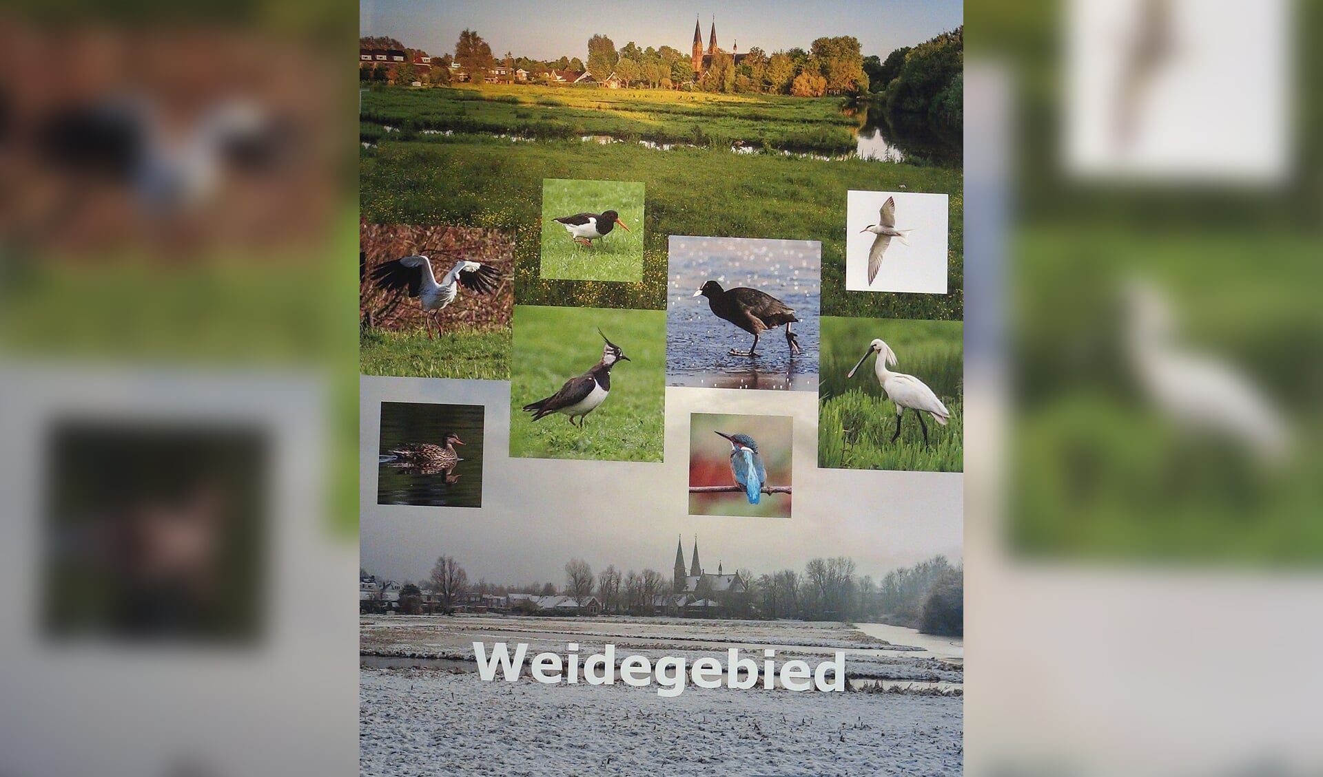 Vele natuurfoto's van Wiebe Maliepaard zijn vanaf 6 november te bewonderen in het gemeentehuis.