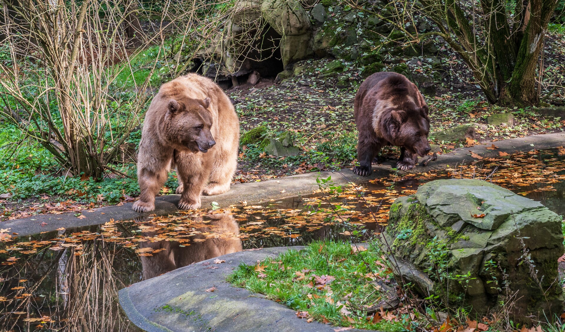 Duuk (links) en Igor in Het Berenbos