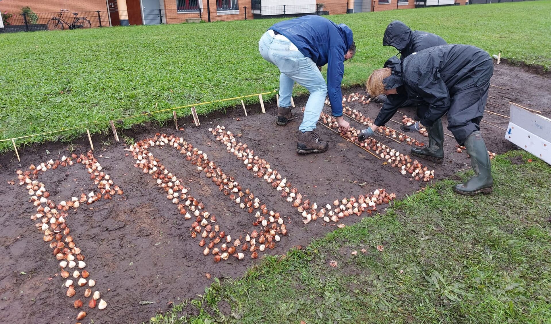 End Polio tulpenbollen worden geplant