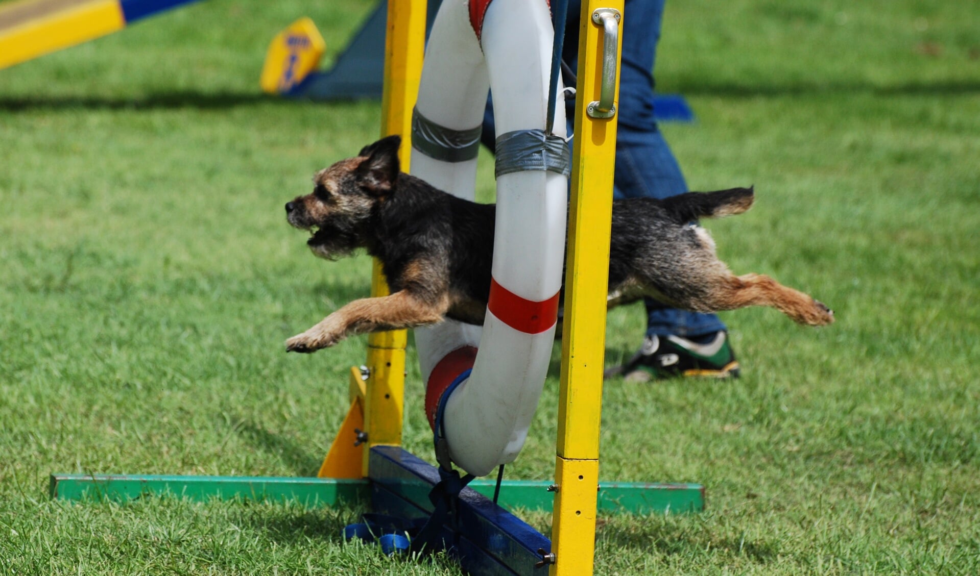 Snelheid én nauwkeurigheid gaan hand-in-hand bij agility.