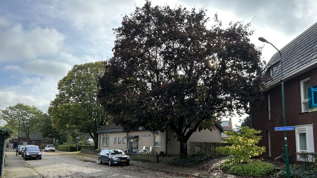 Gebouw 'Nieuw Werchinge' aan de Dominee Herm. Polllaan 1 in Werkhoven, met monumentale beuk.