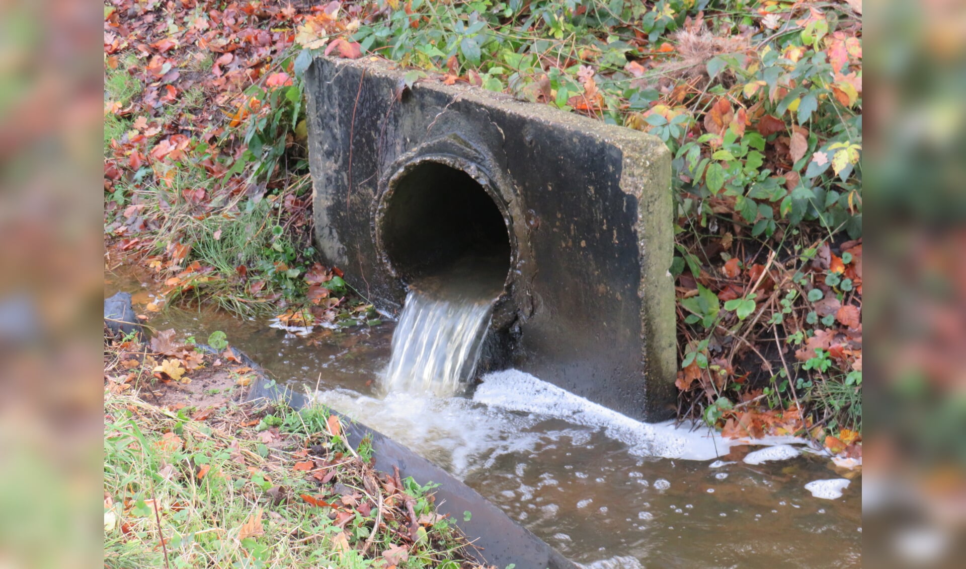 Er valt aardig wat water de laatste weken.