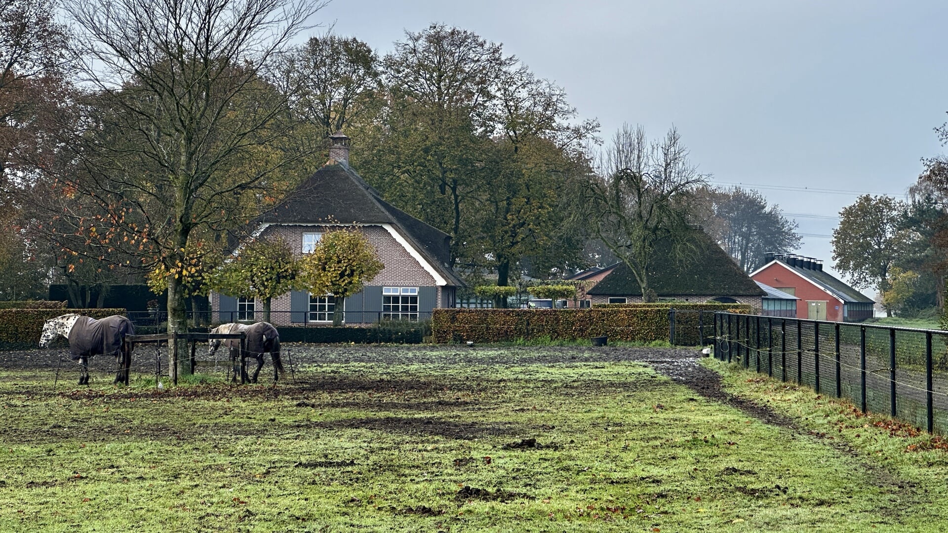 Het terrein Telgterweg 333.