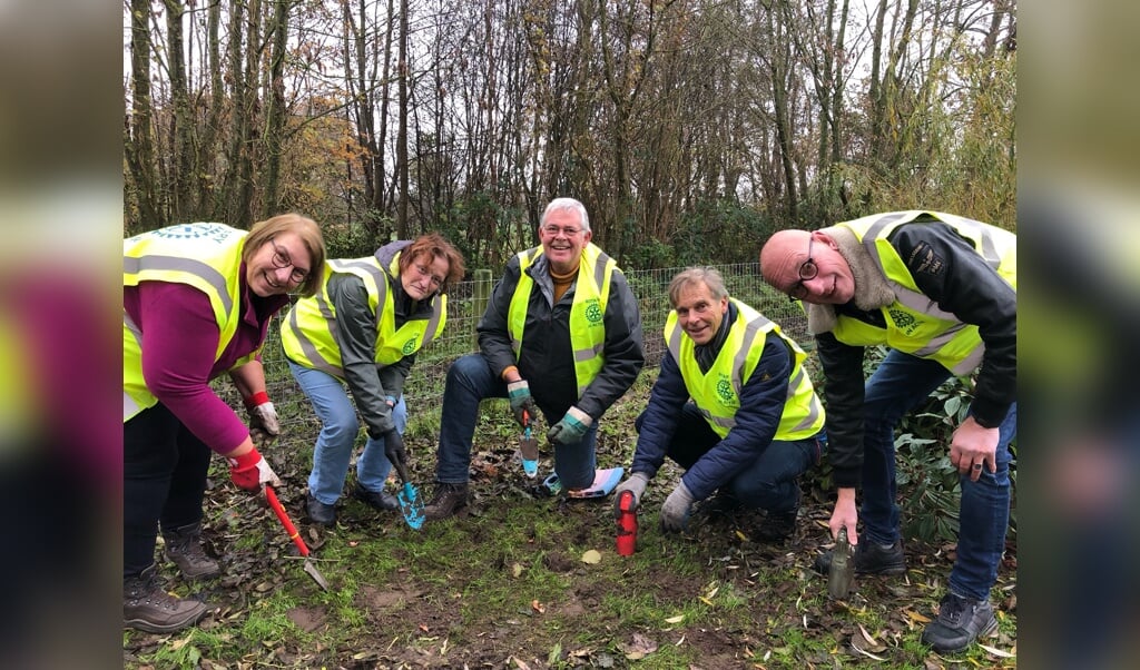 tulpenbollen planten door Roytaryclub Ermelo-Putten