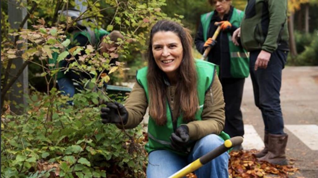 Startschot Meer Bomen Nu Levert 6000 Gratis Bomen Op - Al Het Nieuws ...