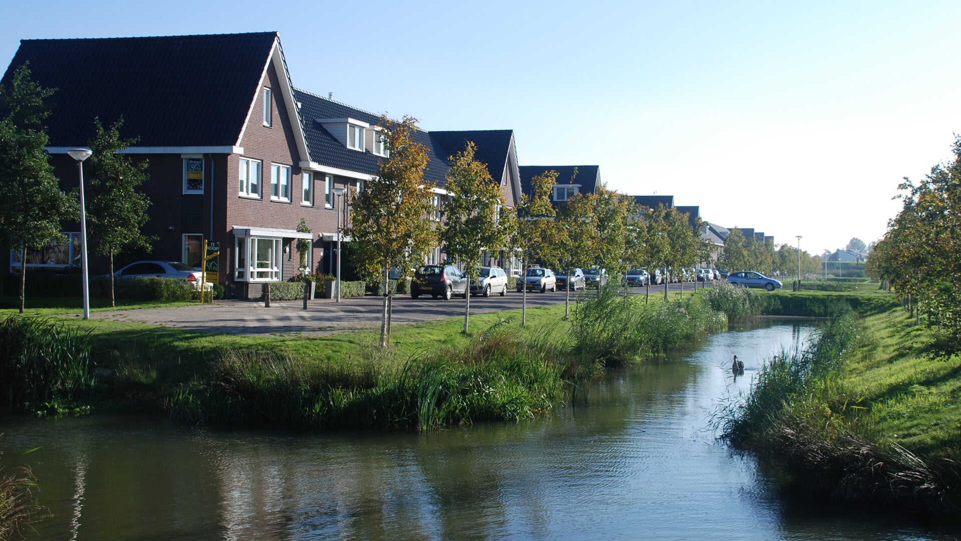 Naast Duurdere Woningen Ook 96 Sociale Huurappartementen In De Scheg