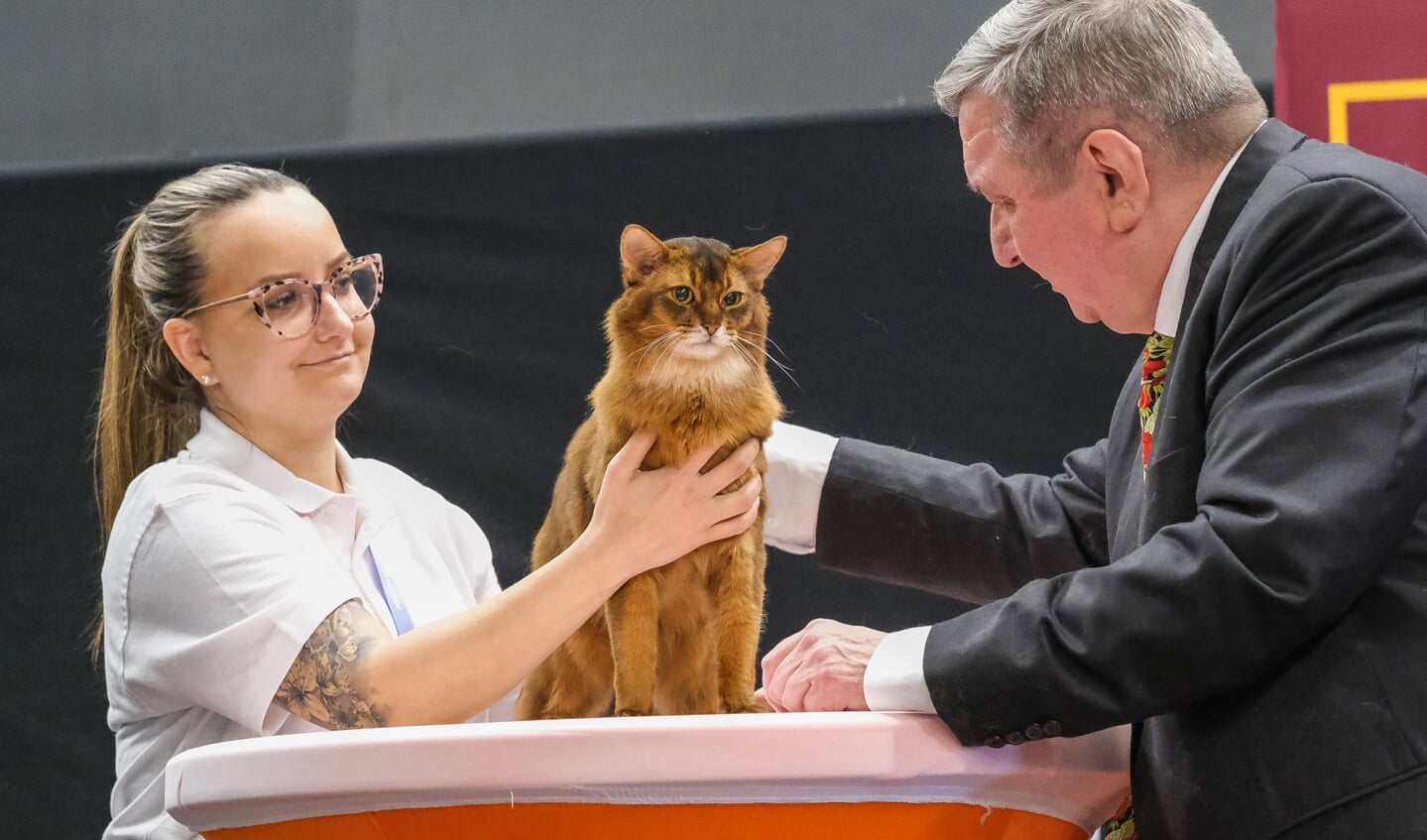 Kattenshow Mundikat Winnershow 2023
