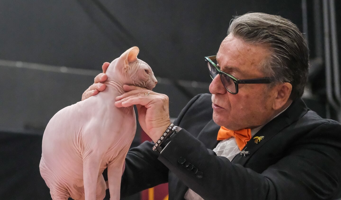 Kattenshow Mundikat Winnershow 2023