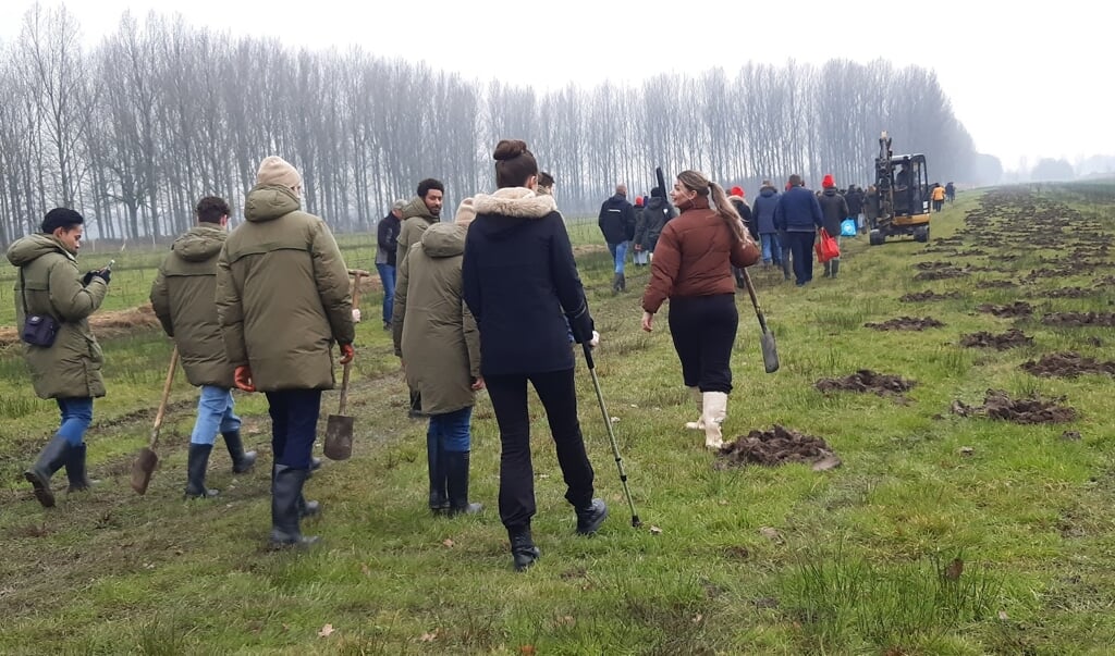 Donderdag 16 februari zijn er door vrijwilligers grote aantallen bomen aangeplant