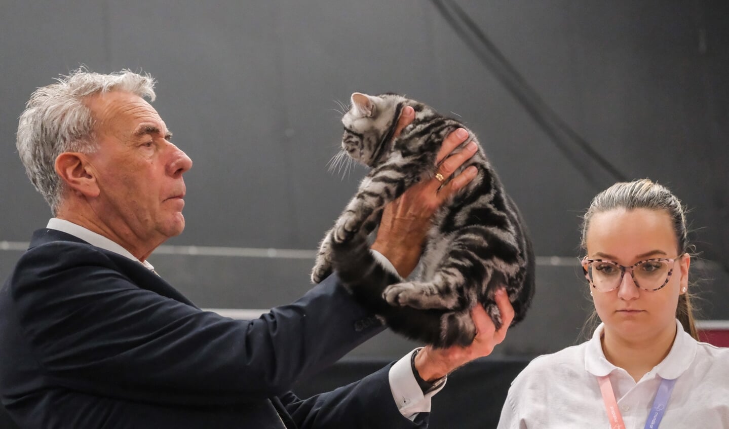 Kattenshow Mundikat Winnershow 2023