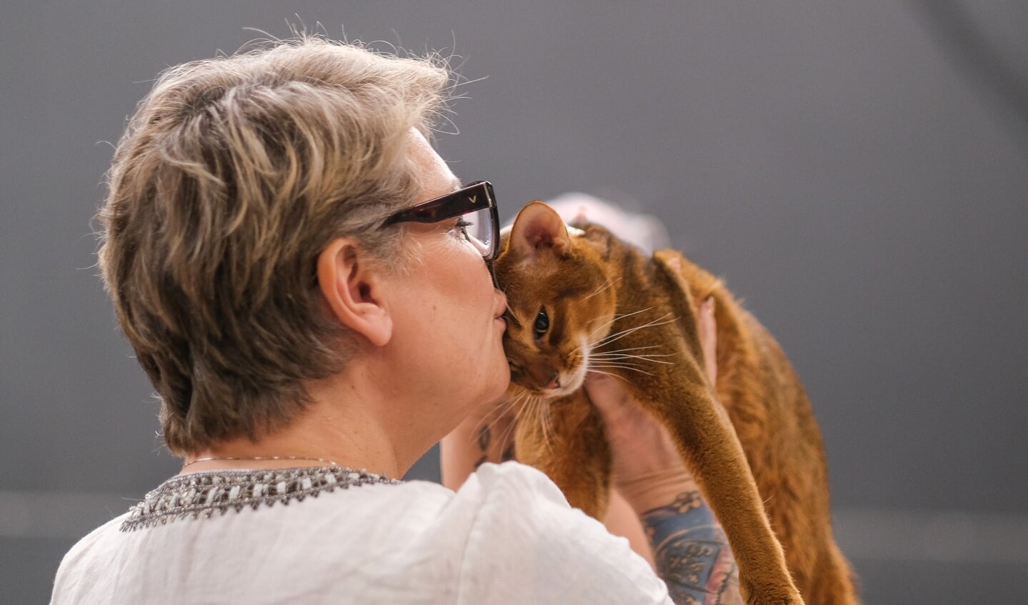 Kattenshow Mundikat Winnershow 2023