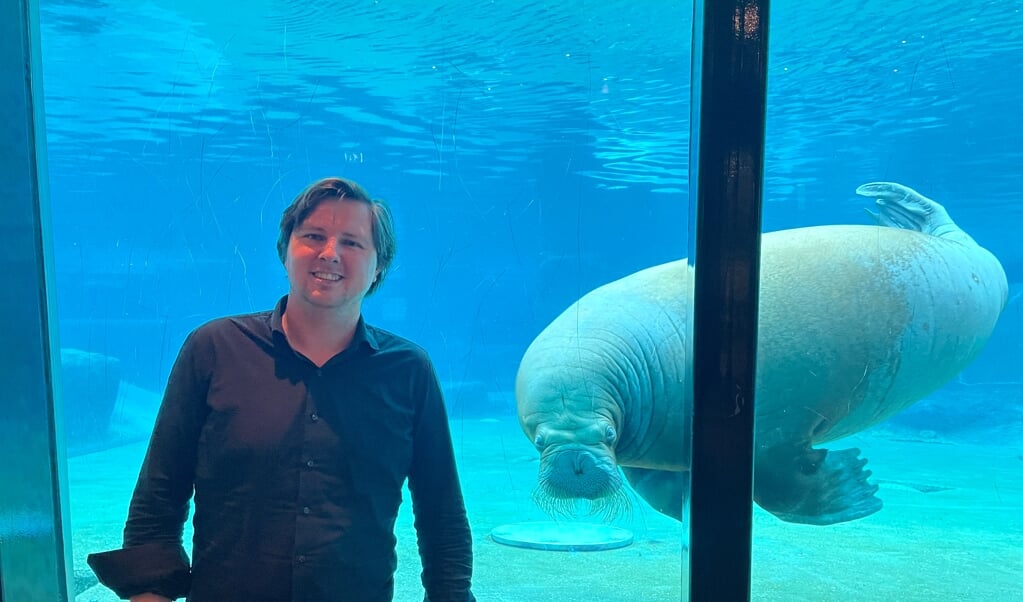 De walrus verdwijnt in de toekomst mogelijk uit het Dolfinarium. Alex Tiebot: ,,Dierenverblijven vrijspelen door afscheid te nemen van diersoorten is een moeilijke keuze."