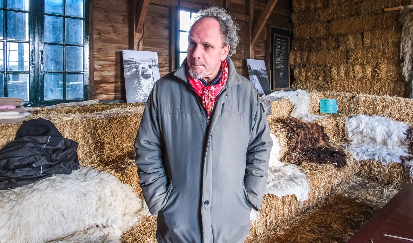 Winterscheren schapen bij Paiul Bos