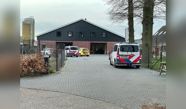 Afbeelding