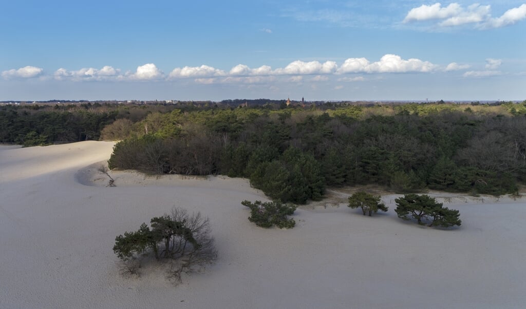 Birkhoven is al decennia lang het visitekaartje van DierenPark Amersfoort, maar voor hoe lang nog? 