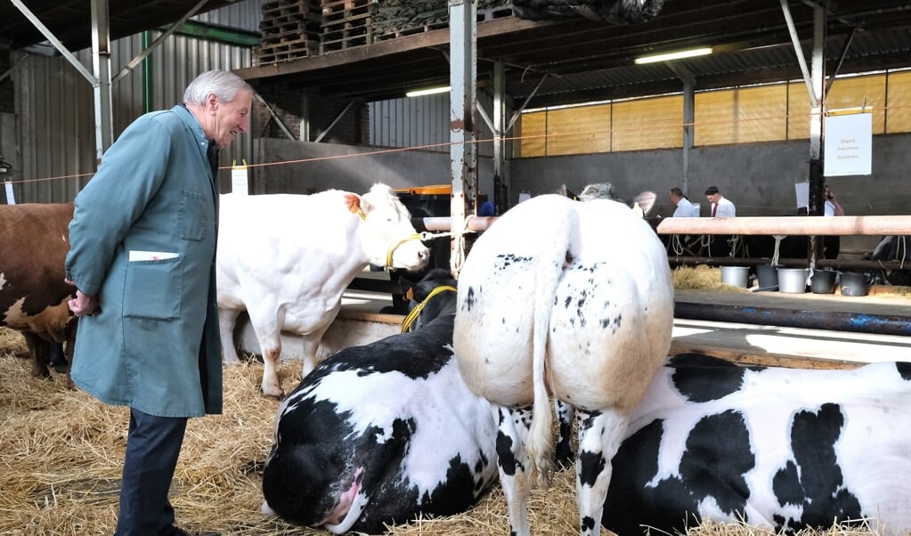 Met keuring Paasvee is Rhenen bijna uniek geworden Al het nieuws uit