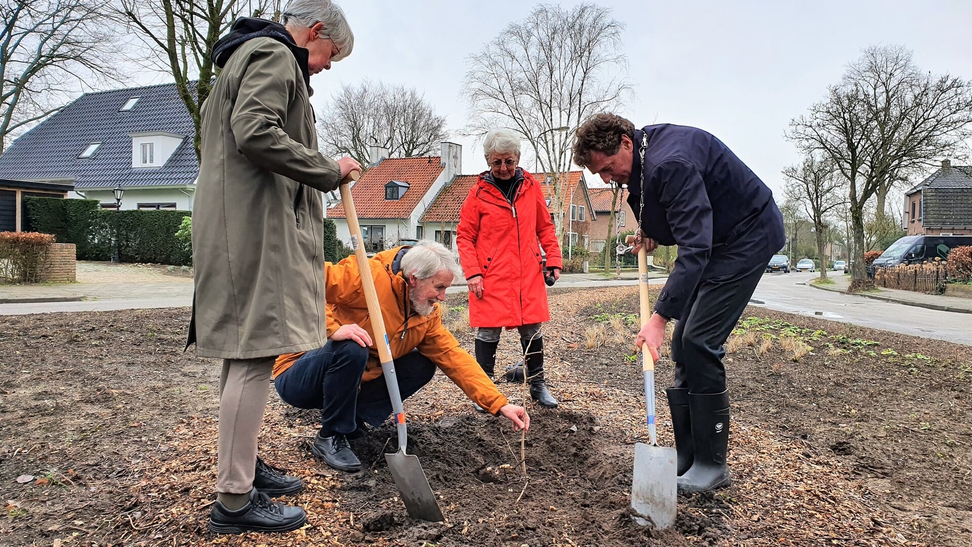 In het plantsoen aan de Groenestraat werd de Vredesboom geplant door Rinny Kooi, Bert Lever, Ans Muller en burgemeester René Verhulst (vlnr).