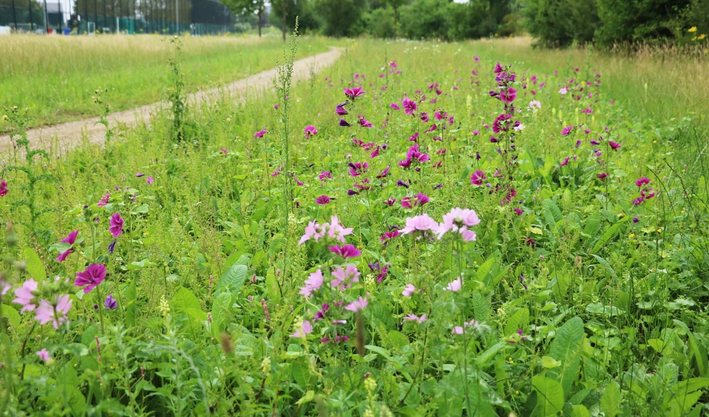 Sport en natuur