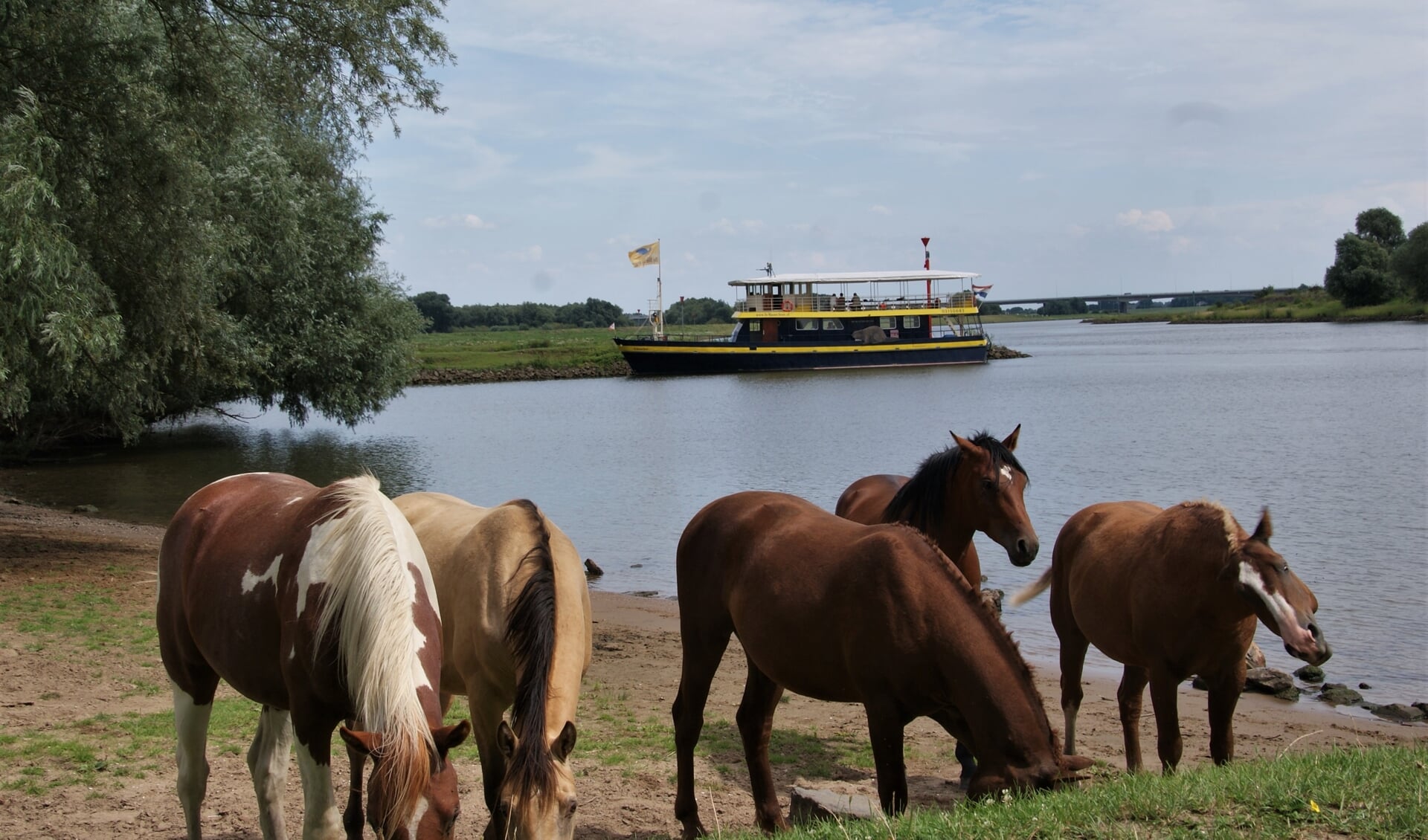 De Blauwe Bever aan wal bij de Jufferswaard