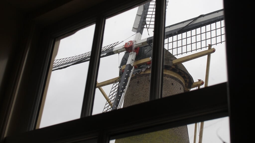 Een blik vanuit de molenaarswoning op molen De Eersteling.