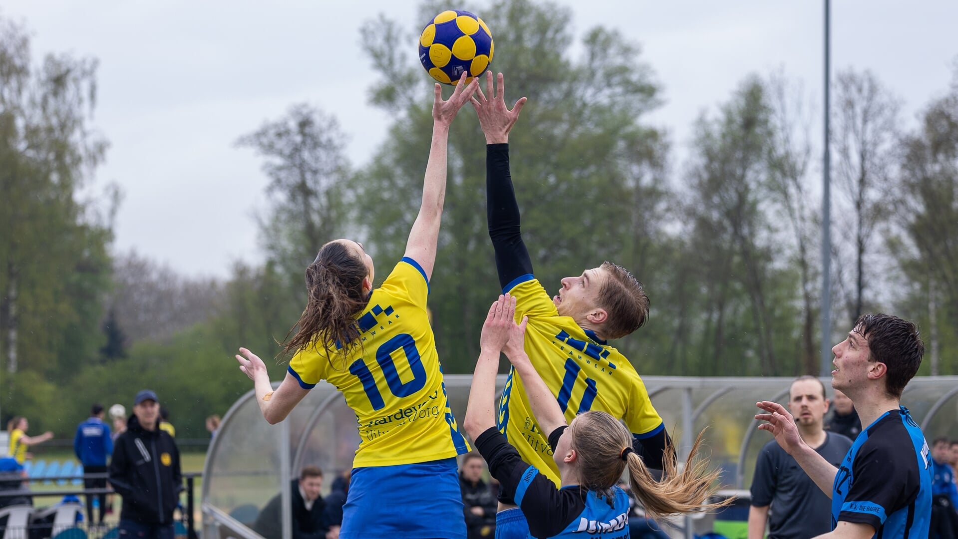 Afbeelding