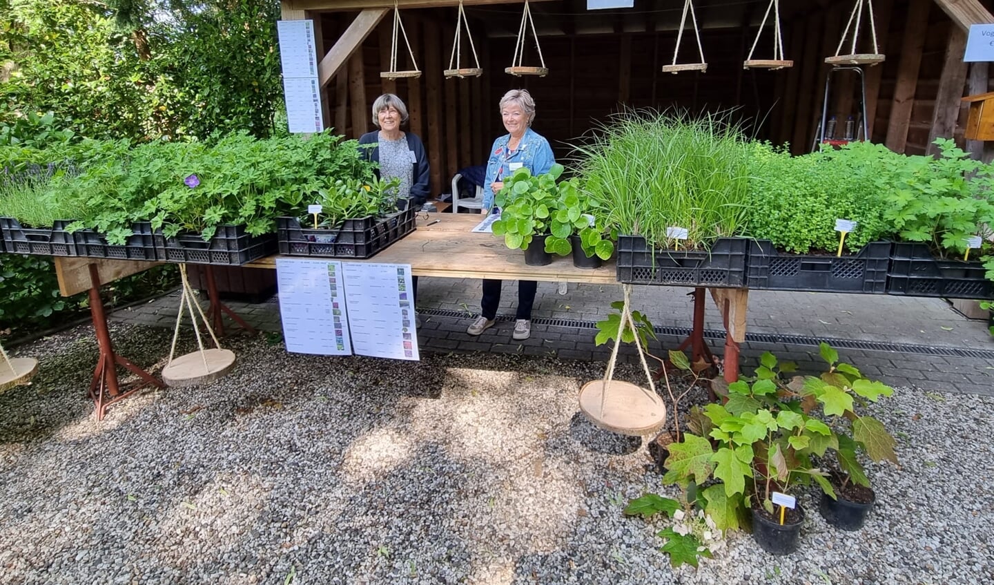 Planten te koop tijdens de opentuin dagen op kasteel Lunenburg