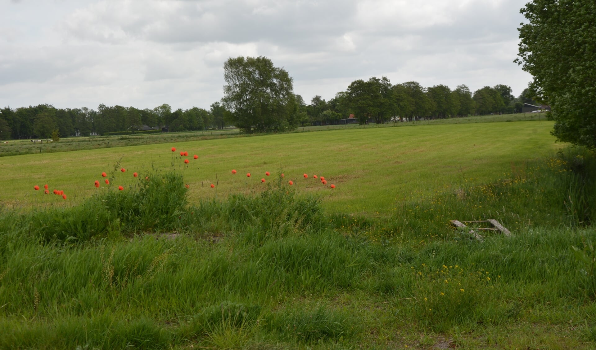 Oldebroek zit te popelen op realisering van het project West 3.