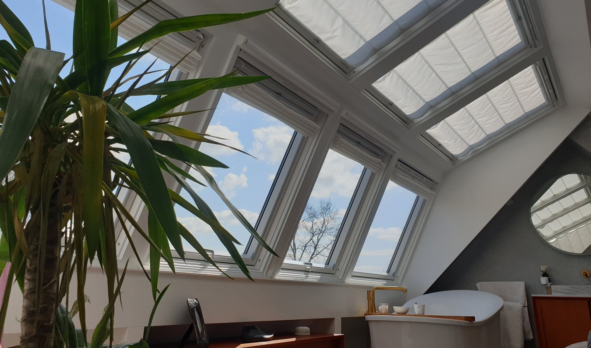 The angled position of the skylights provides more light