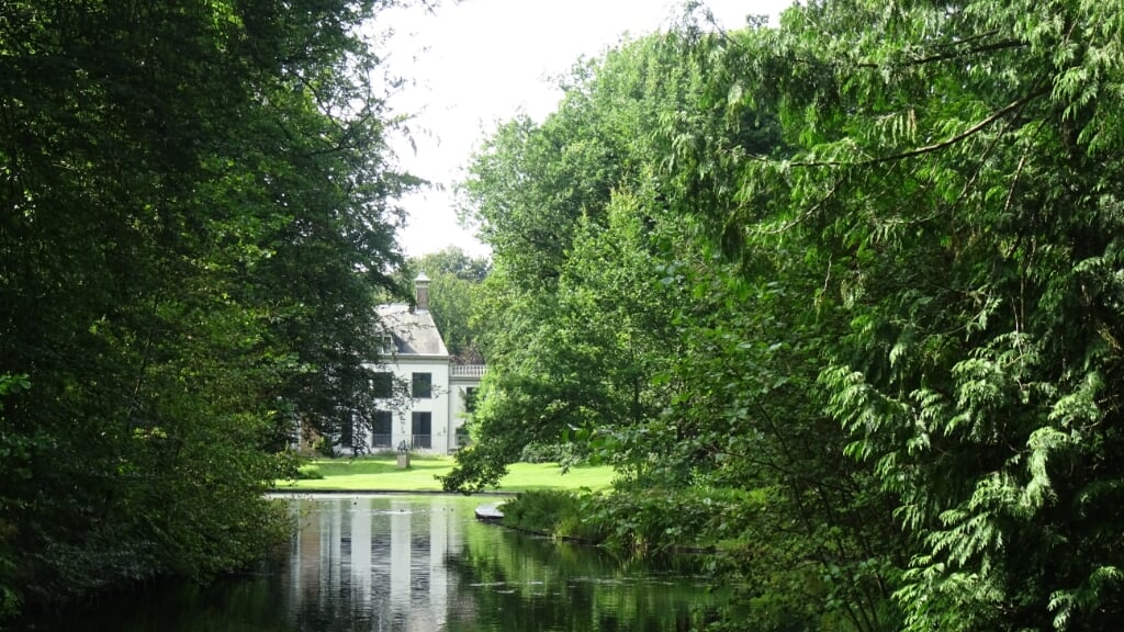 Afbeelding