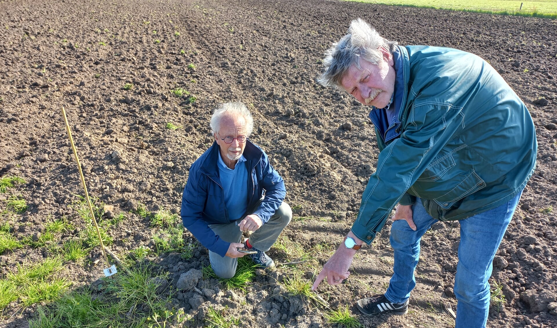 Vrijwilligers Rob de Baas (links) en Roel van Wijk hebben dit kievitsnest onlangs gevonden.
