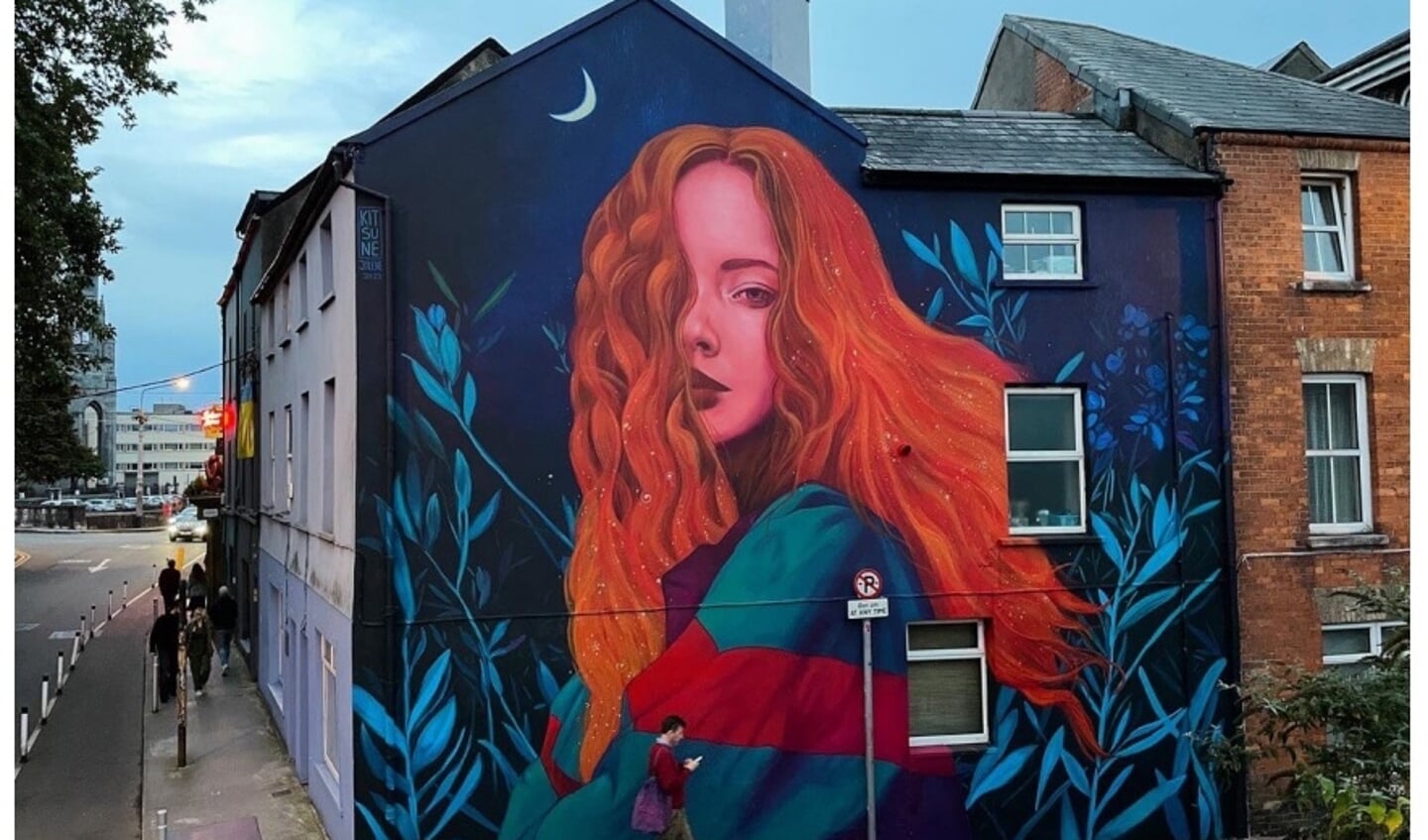 Jolien De Waele muurschildering in Cork, Ierland