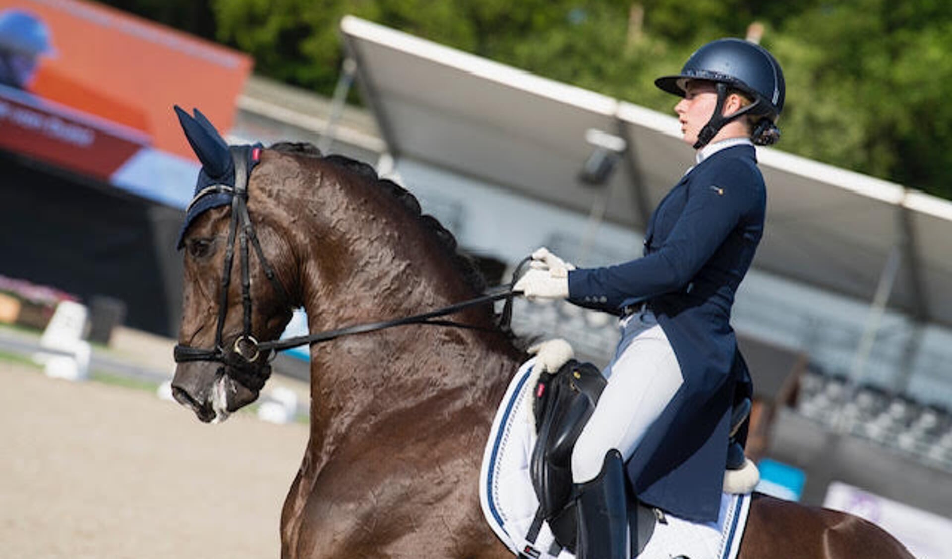 Anniek van Dulst kwam uit voor Het Veluws Ros en reed met haar paard Kadanz naar een vierde plaats op het NK dressuur bij de junioren.