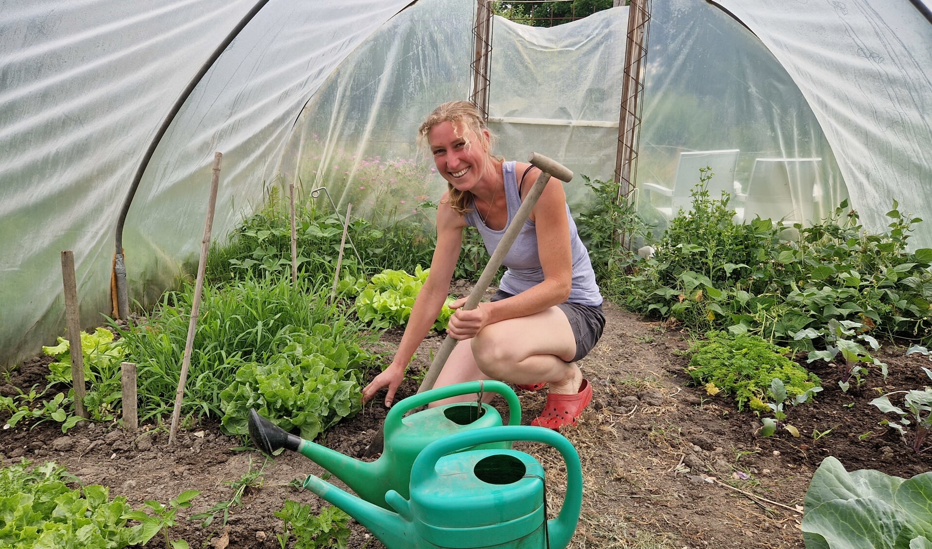 Anne Hollander is op haar plek in haar Tuin Brassica waar ze in de buitenlucht en in de plastic tunnel biologische groente en fruit verbouwt
