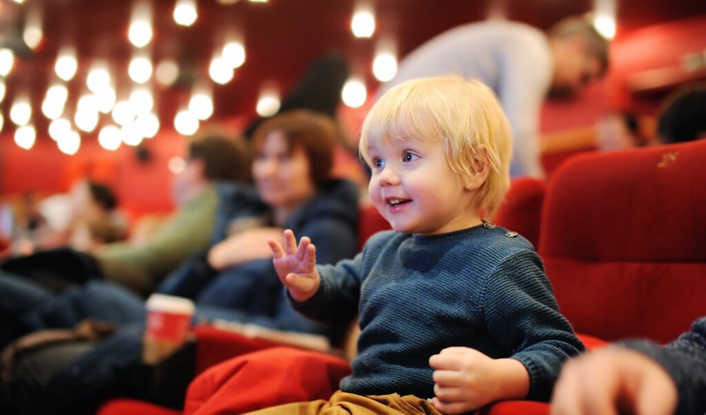 Het Veluvine Theater & Kids Fonds was succesvol